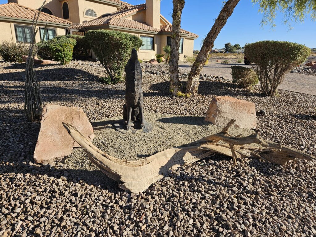 desert landscaping front yard with rock beds and shrubs in Las Vegas