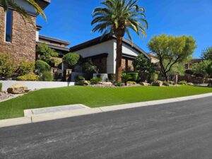 front yard landscaping with turf, palm trees and decorative plants in Las Vegas Nevada by FreshStart Landscaping