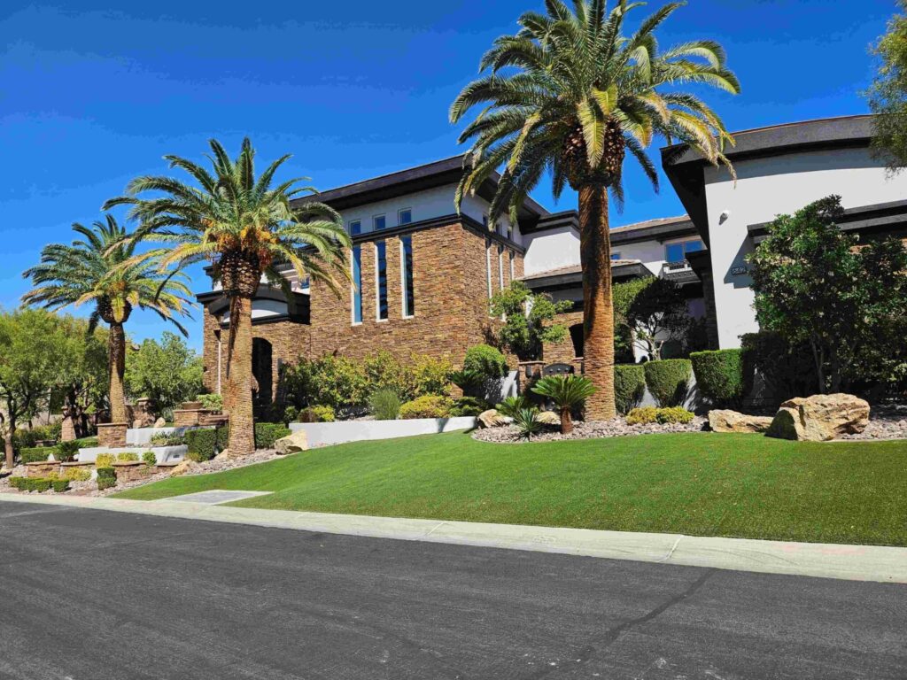 Las Vegas front yard with tall palm trees, green turf and boulder accents by FreshStart Landscaping